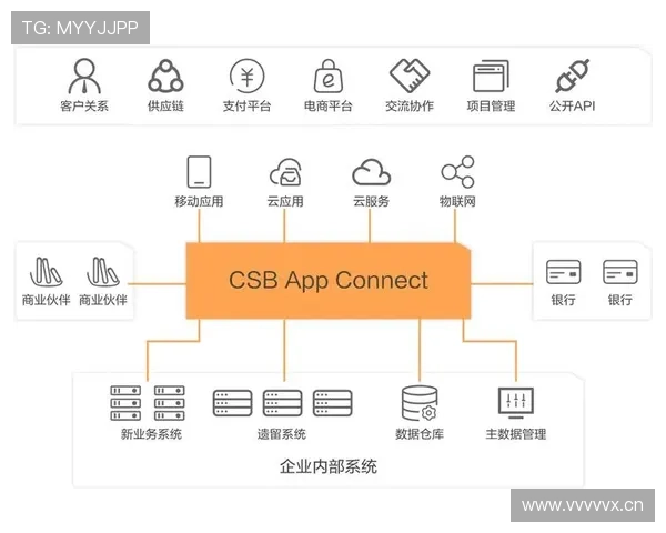 云开网站app全面解析其丰富功能辅助企业提升在线曝光与客户互动水平