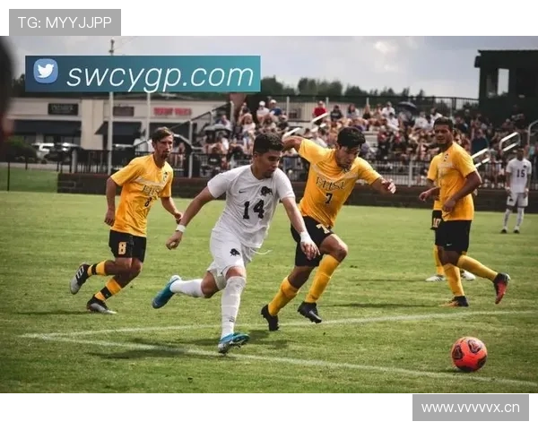 开云体育国际专注于打造安全可靠的体育赛事交易与竞猜平台探索更多商业可能性