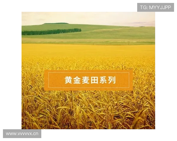 开运开户下载官网最新版本上线，享受优质服务开启财富新篇章