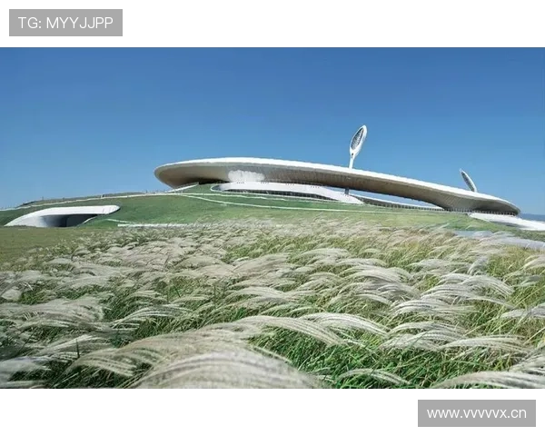 探索开运体育网站的独特魅力，让运动带来好运气和健康生活